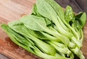 雞毛菜