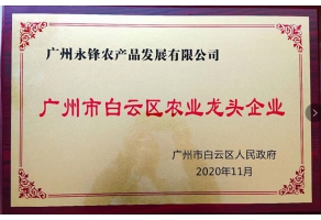 龍頭企業照片